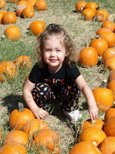 At the pumpkin patch
