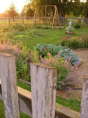 anne marie fox photos