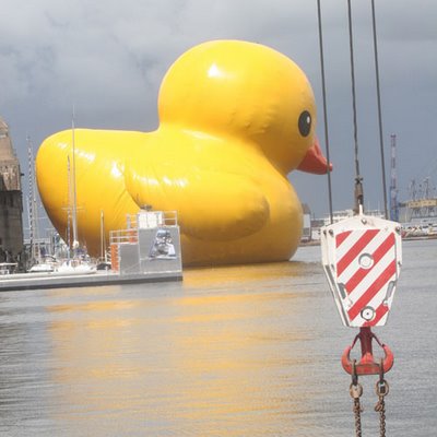 [a+yellow++Duck.jpg]