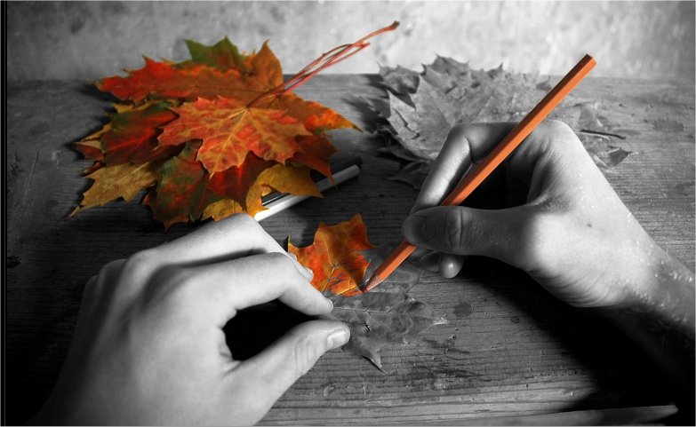 [a++lapis+laranja+e+folhas+pintadas+.jpg]