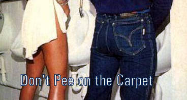 Don't Pee on the Carpet