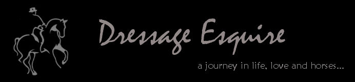 Dressage Esquire