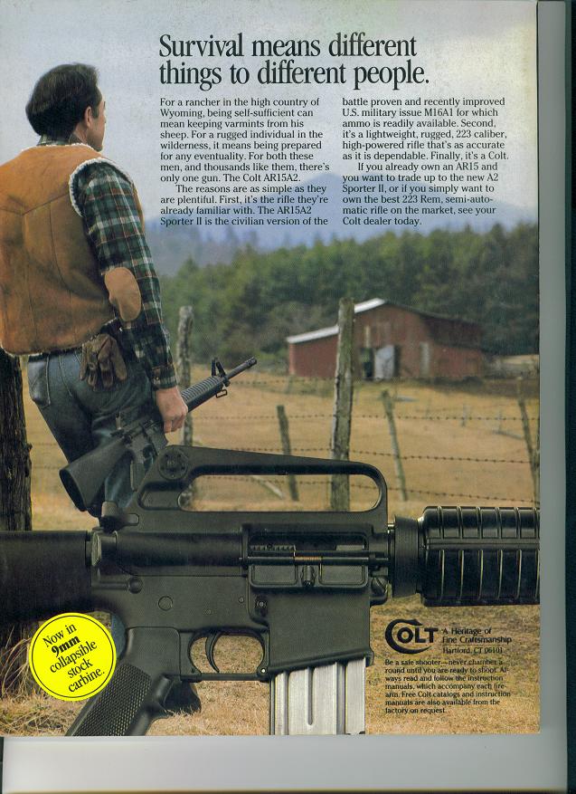 [ar15.jpg]