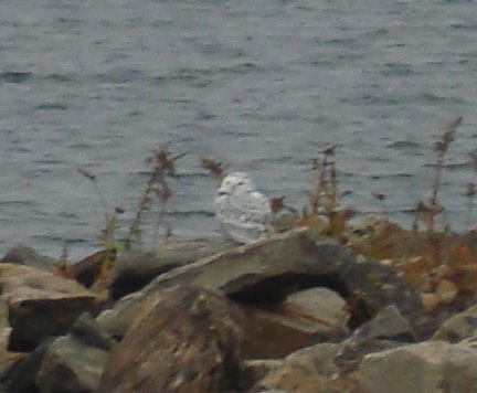 [DSC03147_1.JPG]