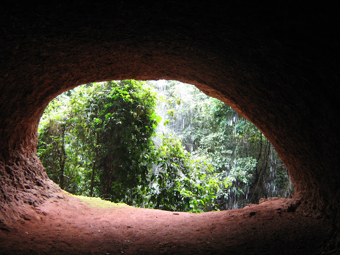 La Gruta de Afia