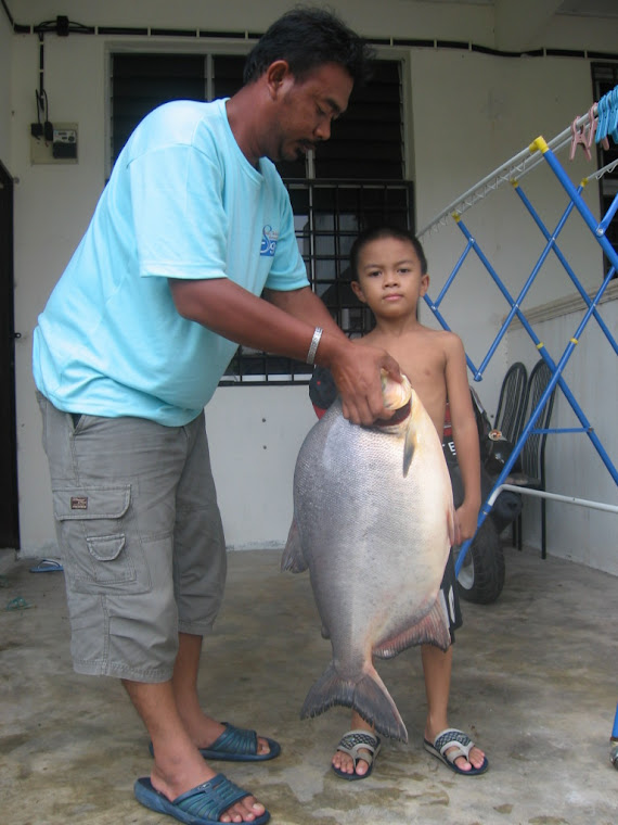 Pacu 12.5kg di Sri Bayu Tekala 2008
