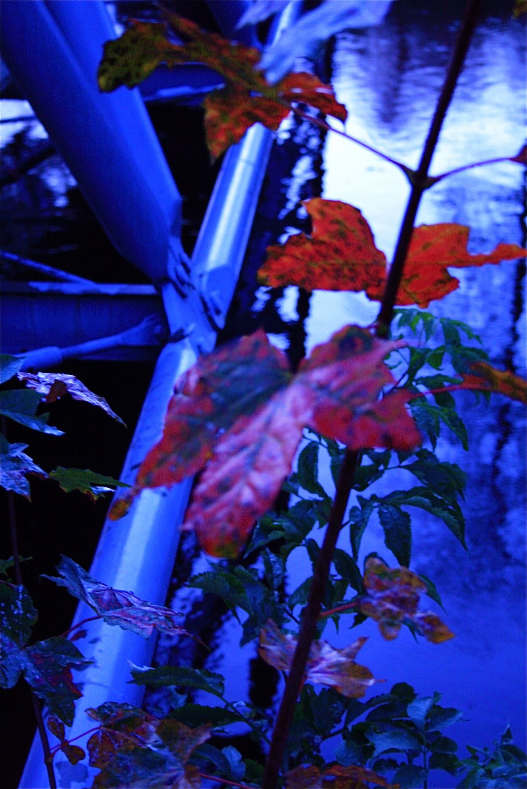 [IMG_1361.JPG]