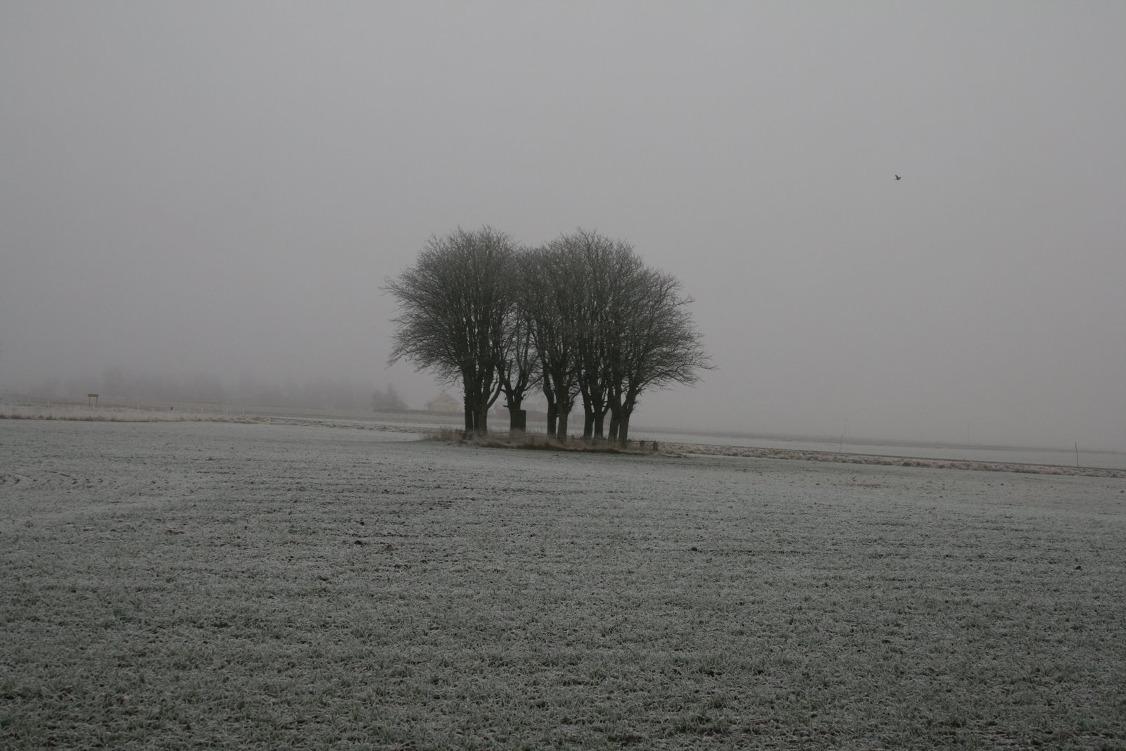 [IMG_1847.JPG]