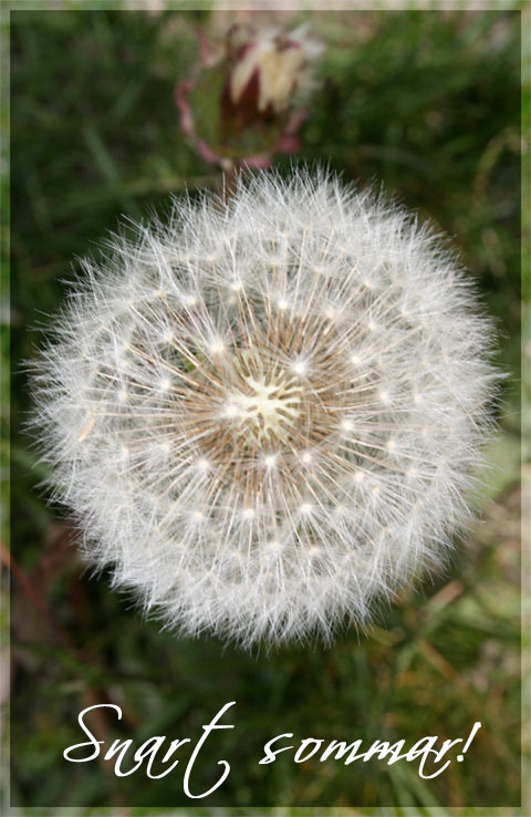 [snart+sommar.jpg]