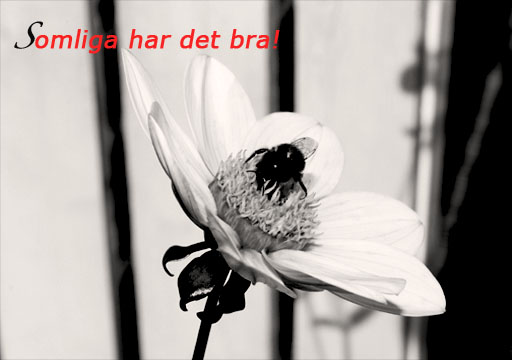 [xxvykort.jpg]