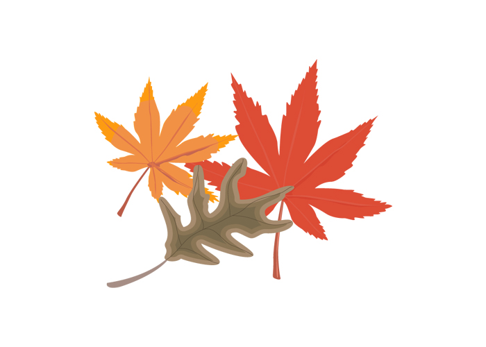 [leaf_.jpg]