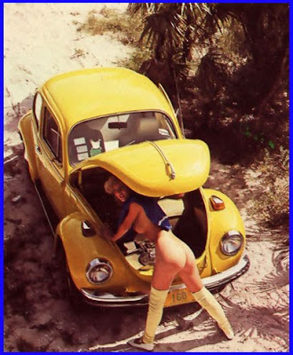 Anybody into old VW Bugs? B-Side+Beetle+234