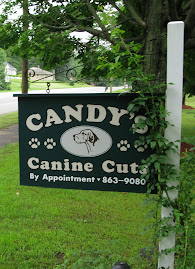 Candy's Canine Cuts