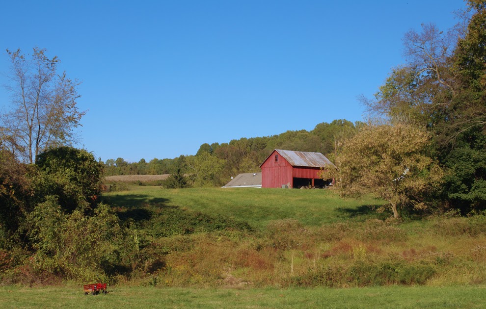 threads and snippets ramsey's farm