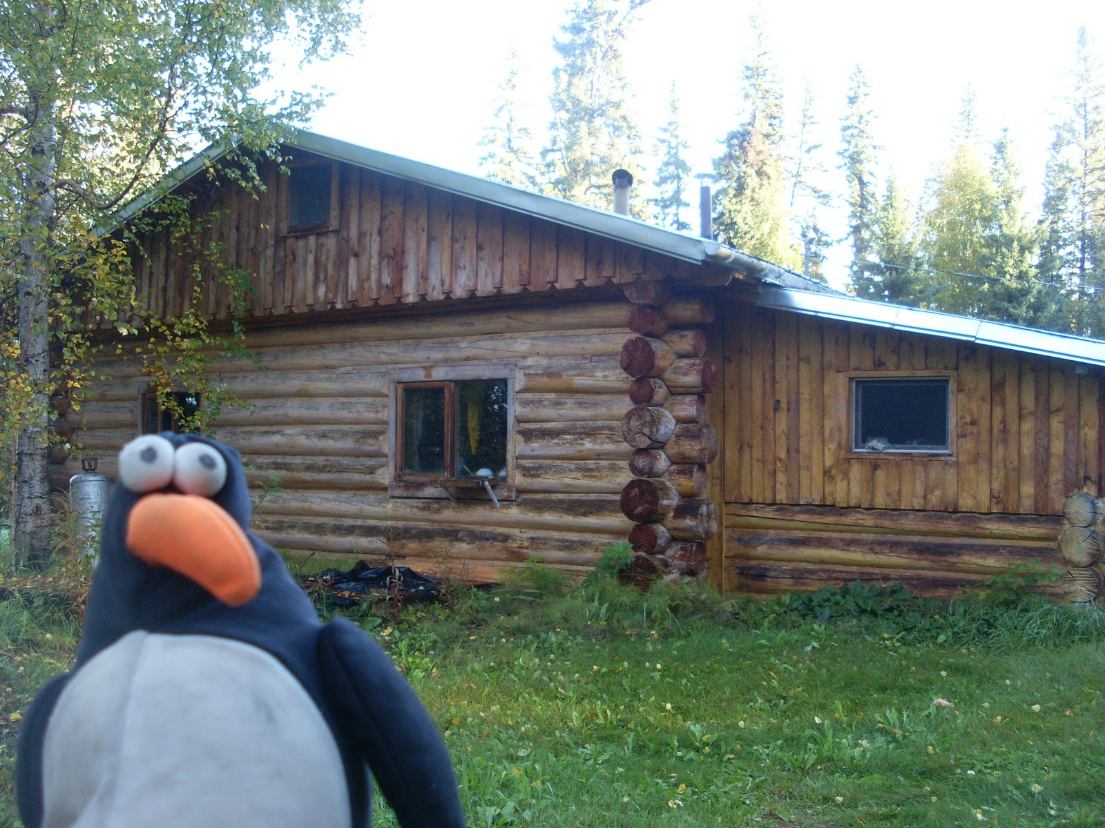 Adventures of an Intrepid Penguin Day 18 September 4 Lindberg Landing