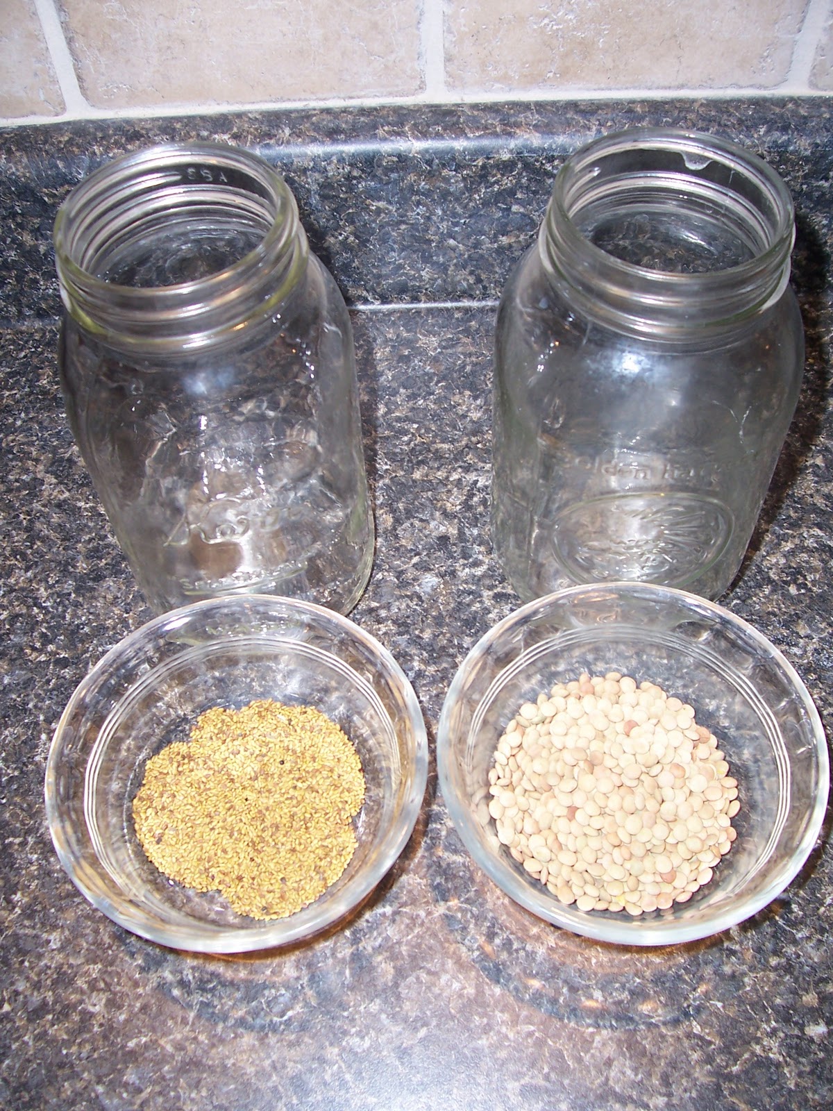 How to Sprout Seeds • The Prairie Homestead