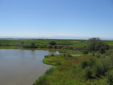 George Reiffel Bird Sanctuary