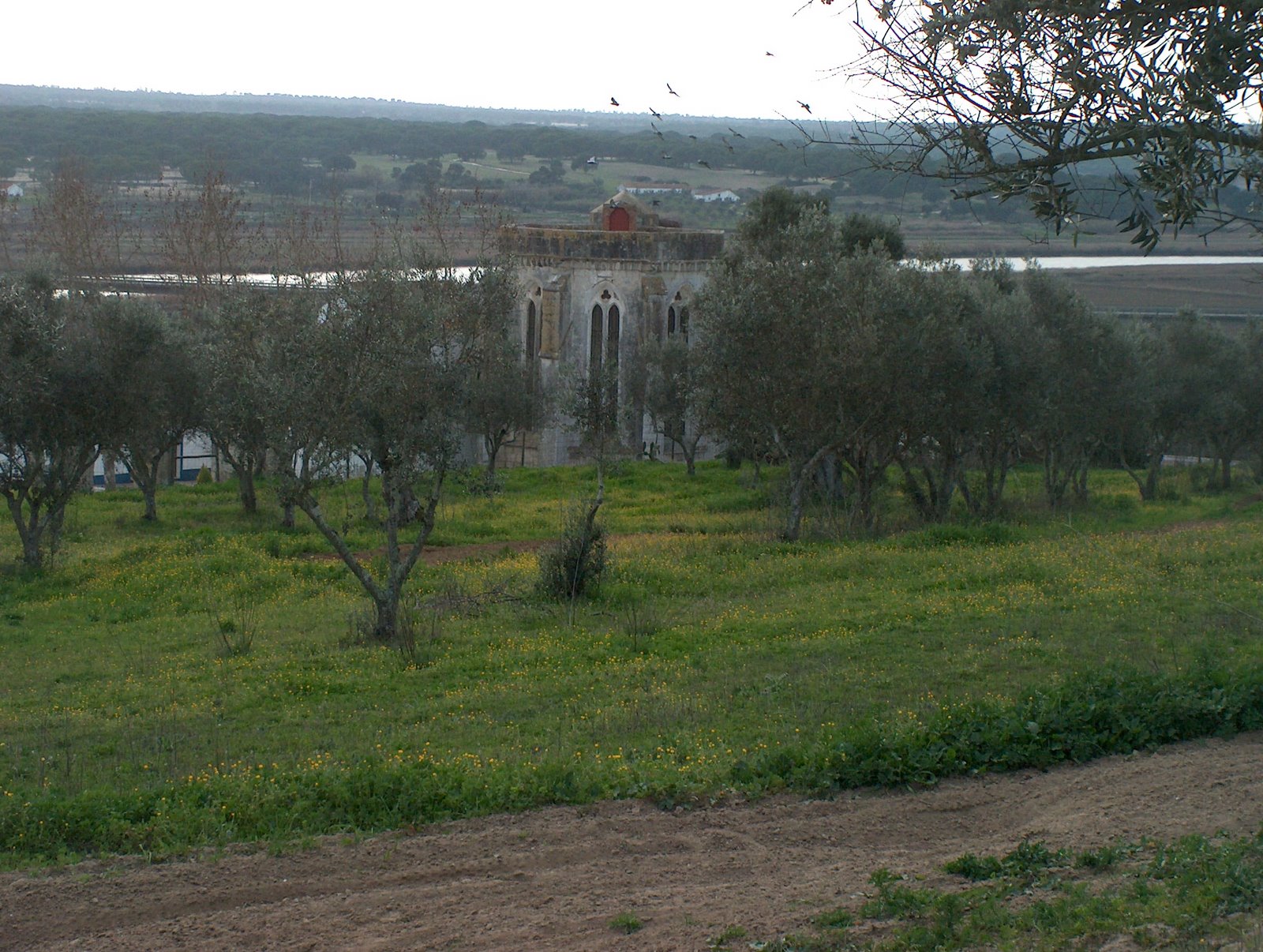 [HPIM1572.JPG]