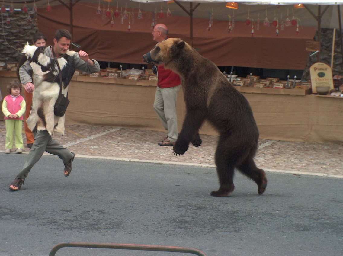 [urso6173.JPG]