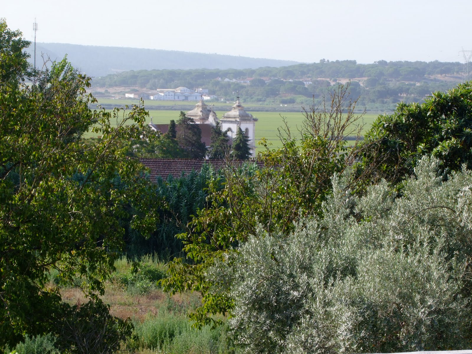 [DSCF5595.jpg]