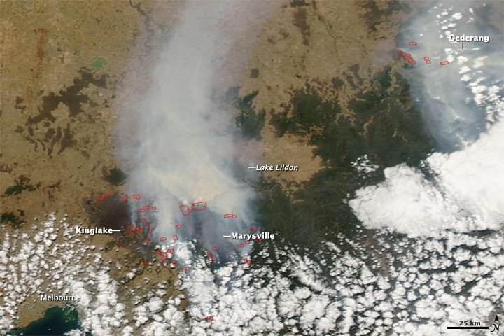 [Bushfires+9-02-09.jpg]