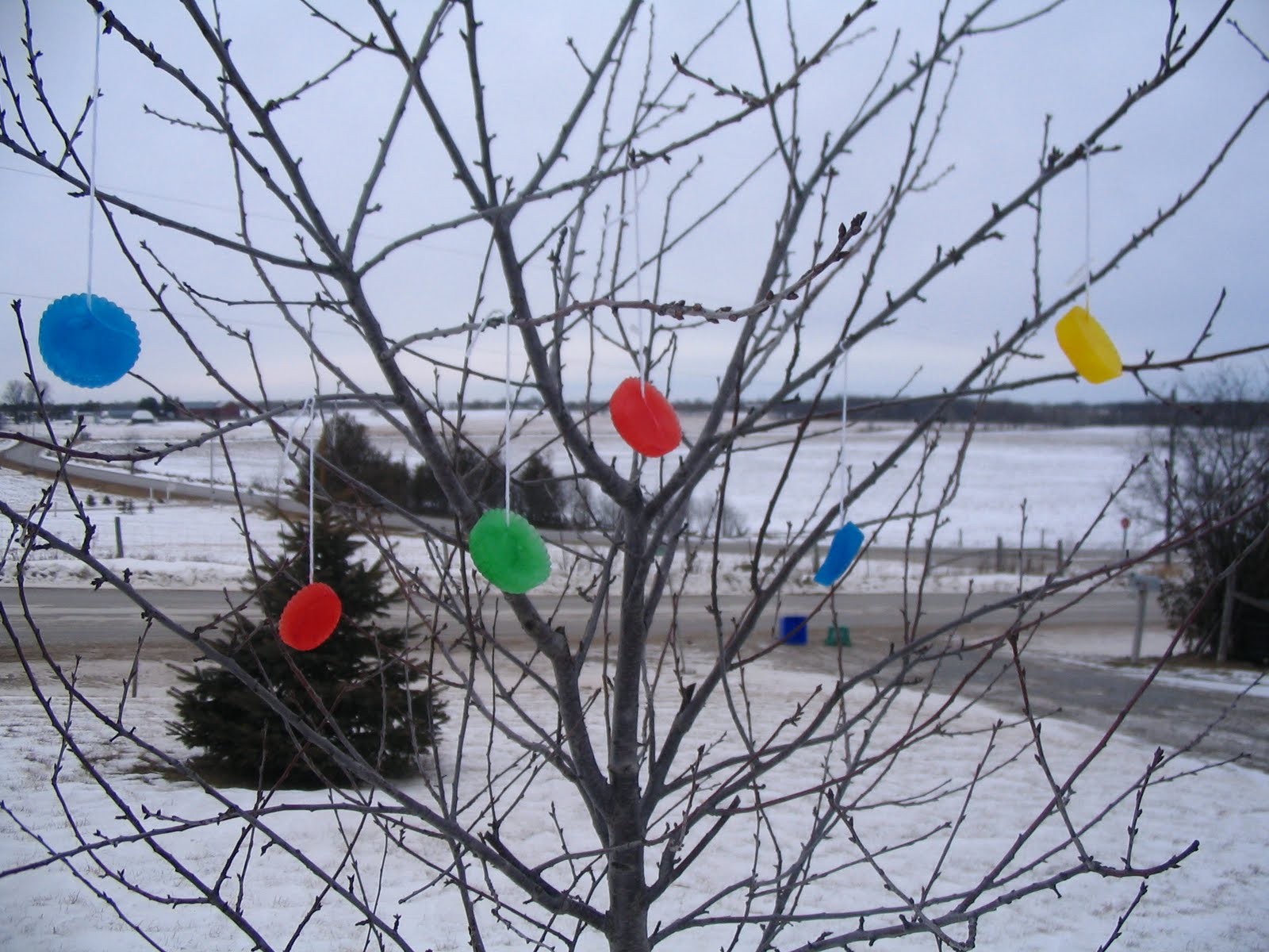 [Ice+decorations+002.jpg]