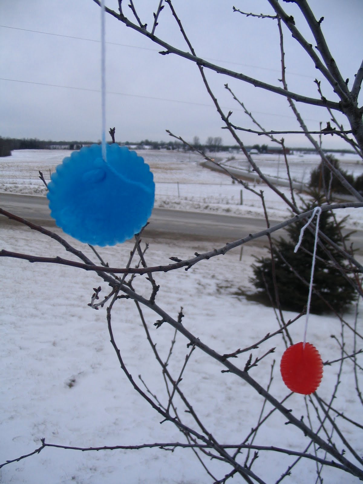 [Ice+decorations+003.jpg]