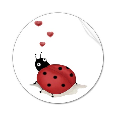 lady bug pictures