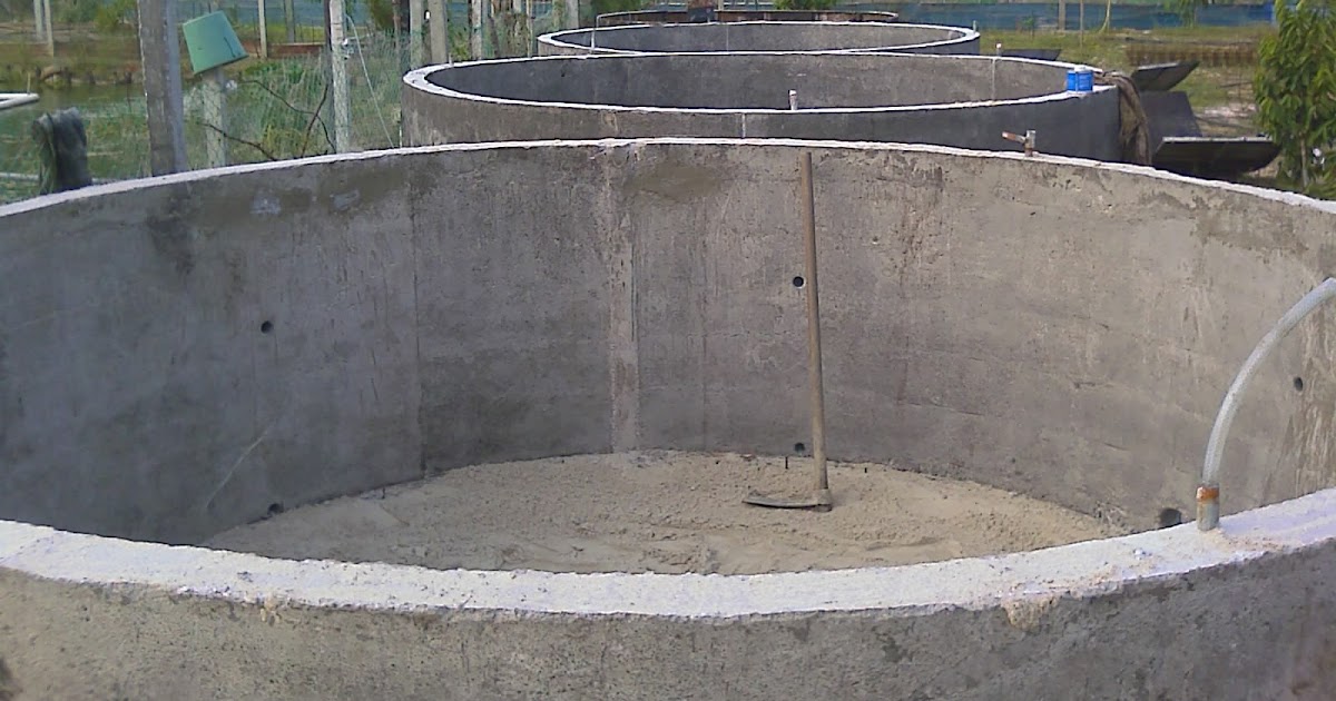 Ternakan Ikan Air Masin: kaedah membuat kolam cement