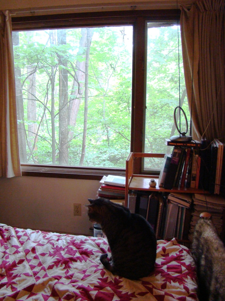 [small+inside+outside.jpg]