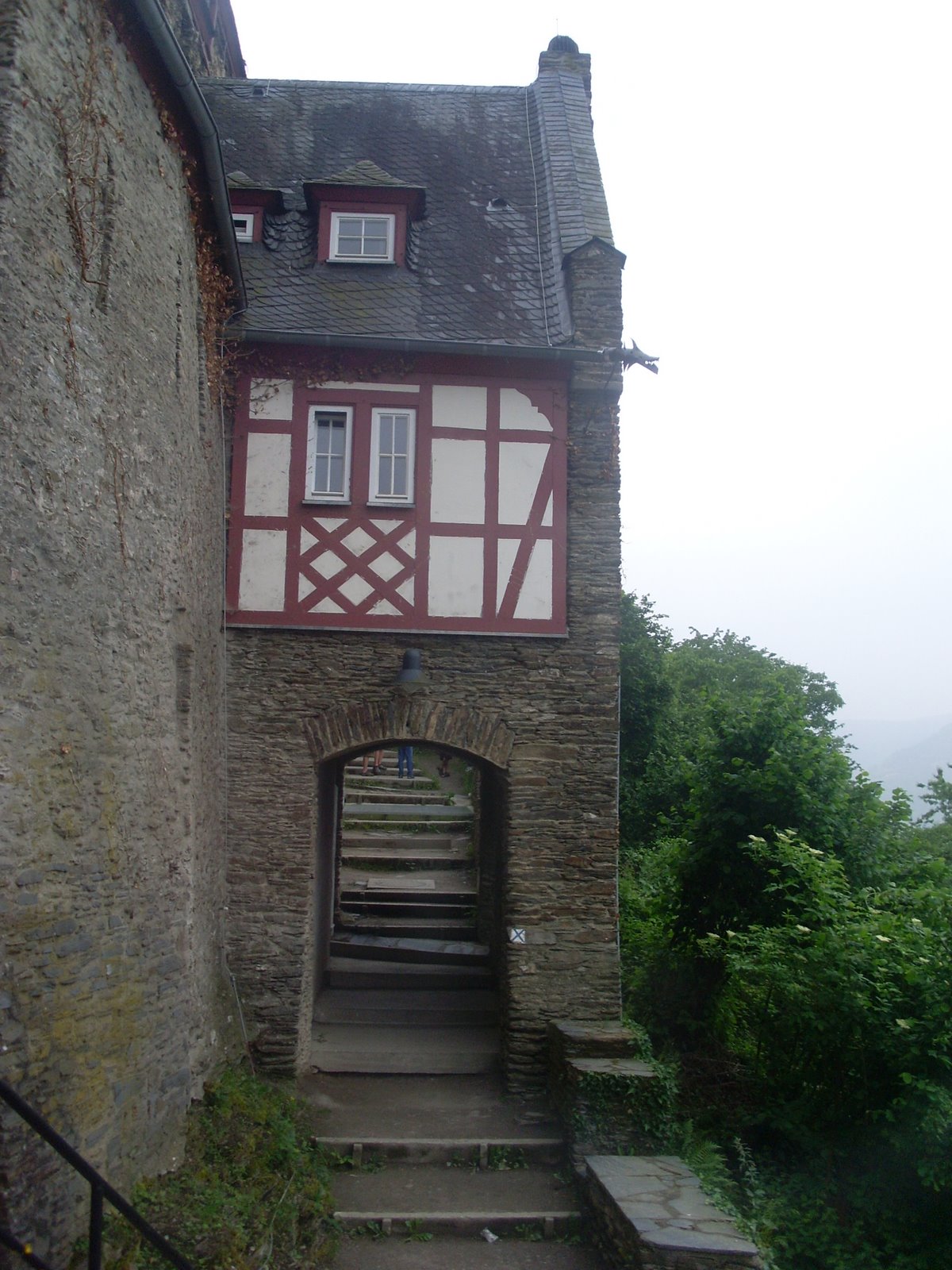 [2008-06-03+087.jpg]