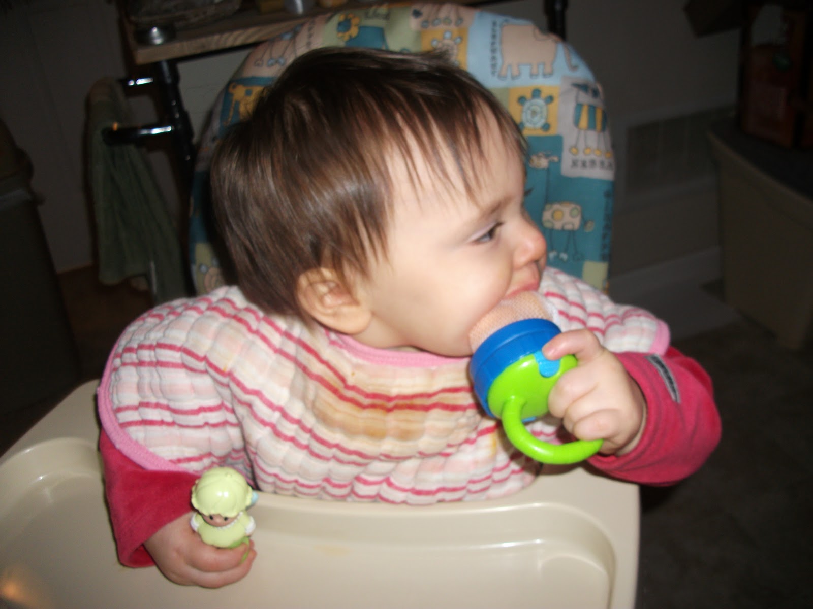 New Age Mama Sassy Infant Teething Feeder Review