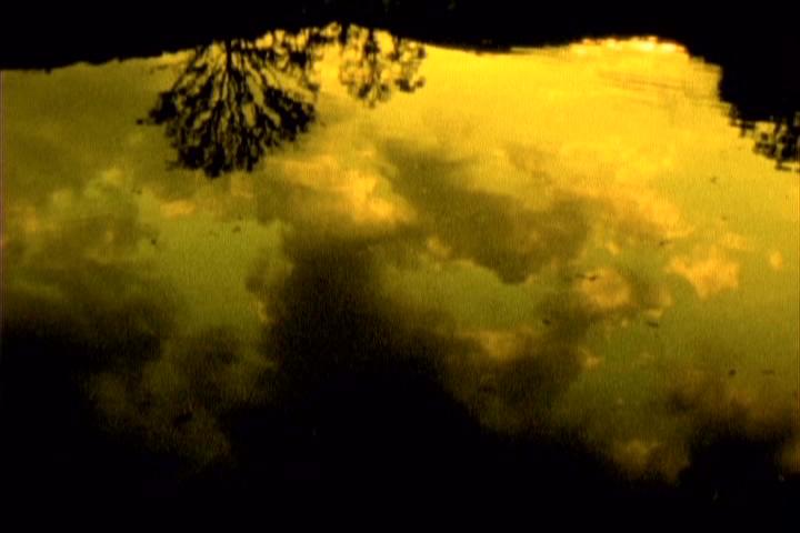 [PDVD_023.JPG]