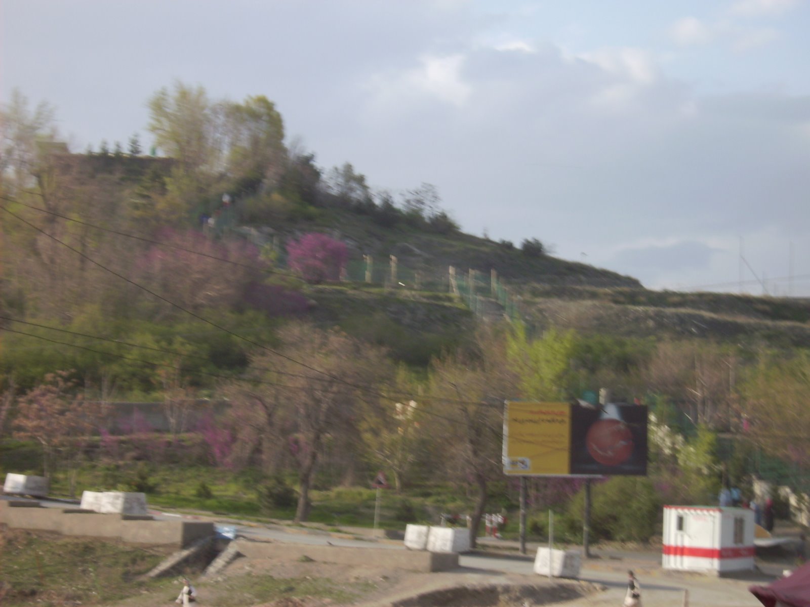 [PICT0080.JPG]
