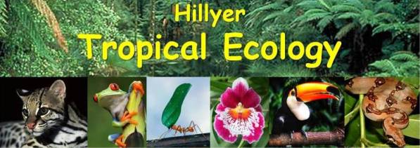 Tropical Ecology 2011