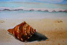 Conch on Beach (SOLD)