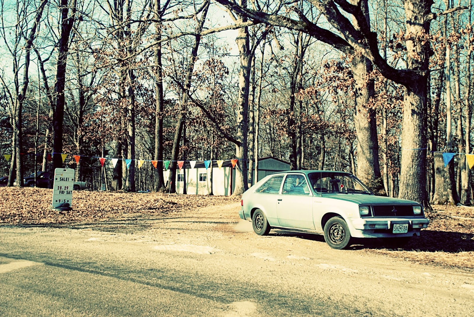 http://3.bp.blogspot.com/_RjVscSWW_oY/TUThYhdmUXI/AAAAAAAAAfo/9xBDYXNlRsA/s1600/bunting.jpg