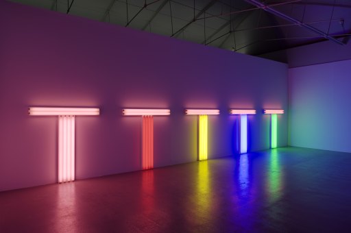Dan Flavin Artist