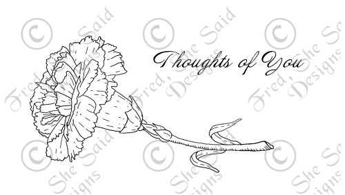 [FSS-CarnationPREV.jpg]