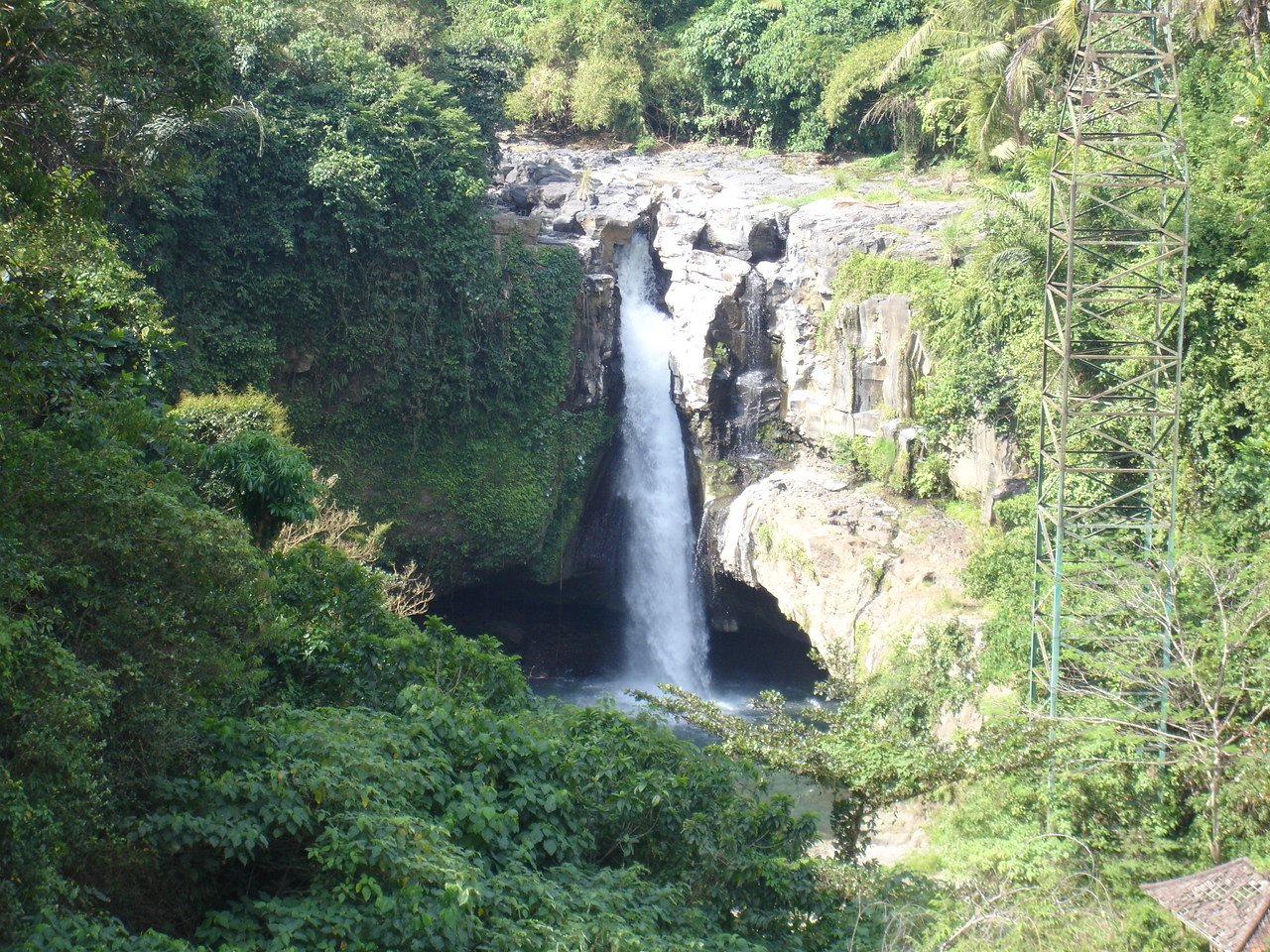 [DSC02051.JPG]