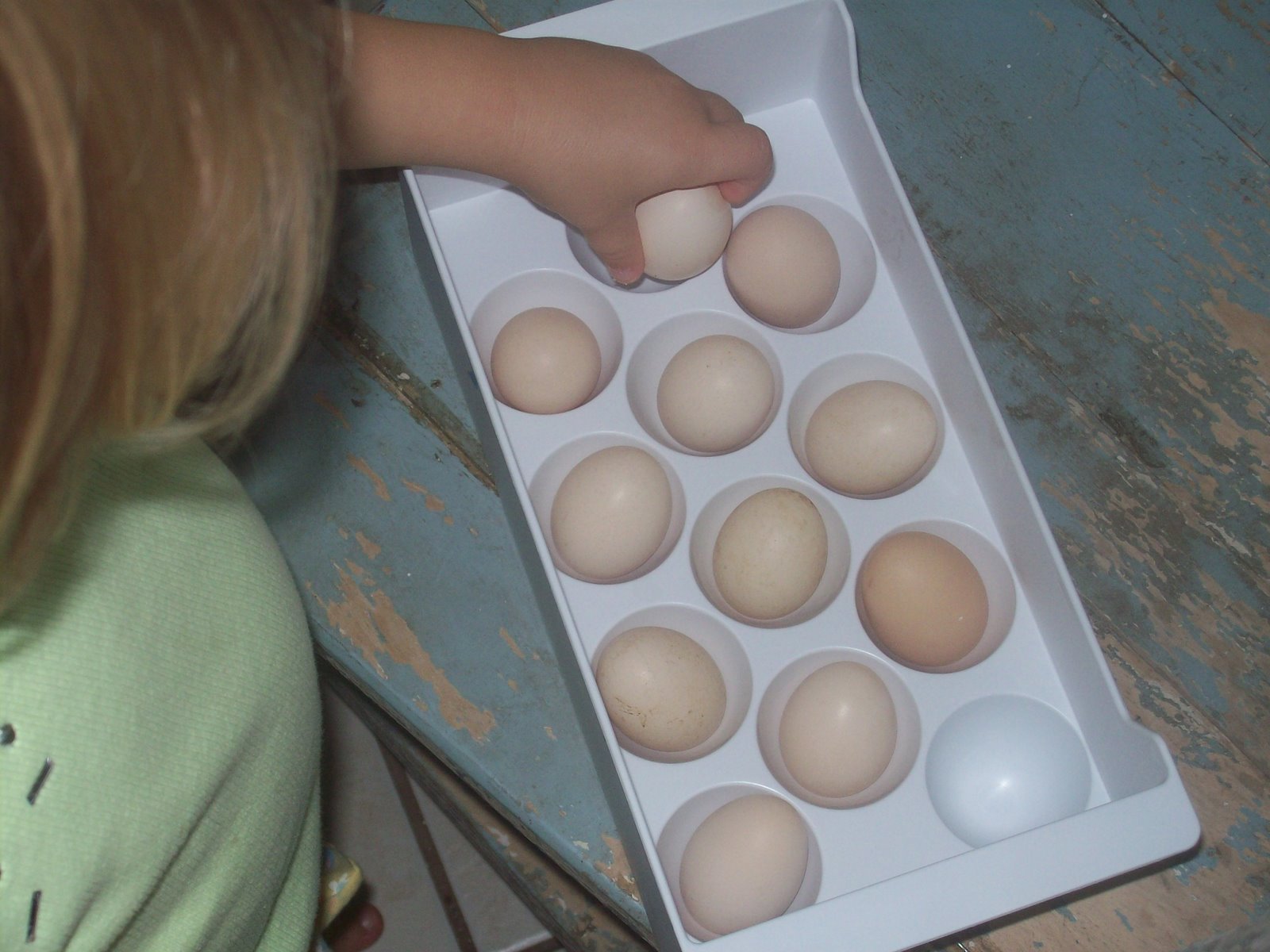 [eggs+006.JPG]