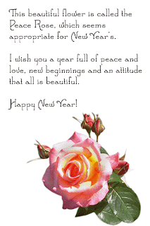 new year wishes with rose