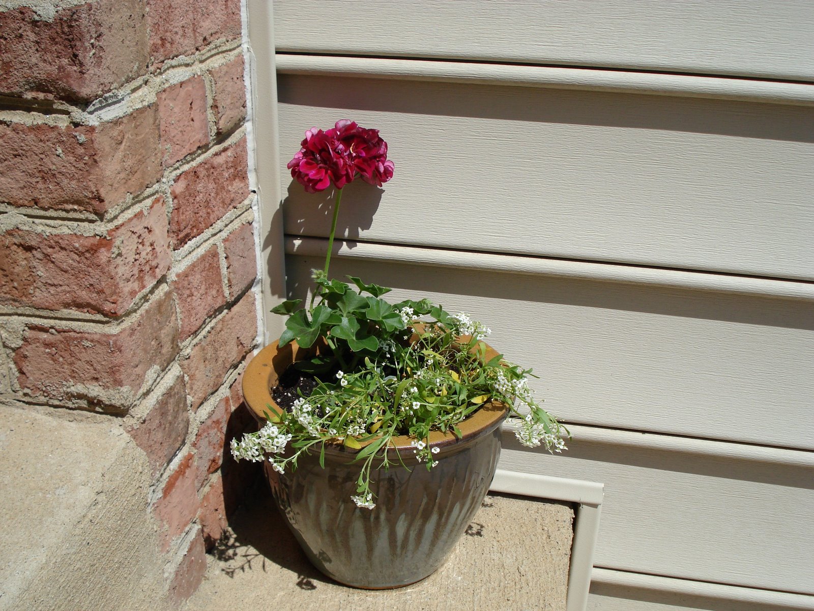 [flowerfront.jpg]