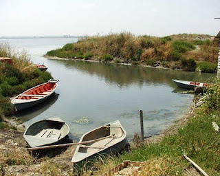 ΟΙΚΟΛΟΓΙΚΟ ΕΓΚΛΗΜΑ ΤΗΣ ΝΟΜΑΡΧΙΑΣ ΗΛΕΙΑΣ