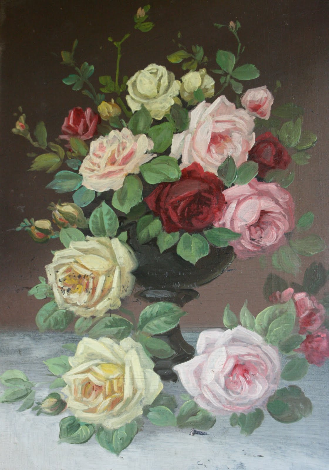 Trumpeter Orange Red Rose 2 Gal Live Bush Plants Floribunda Etsy