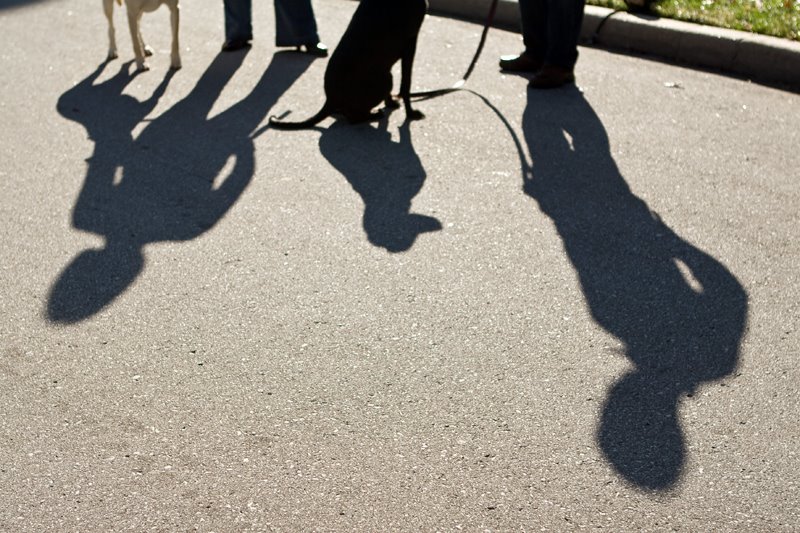 [BLOG_Thomas_101808_0483.jpg]