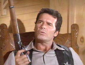 [Support+Your+Local+Sheriff1.jpeg]