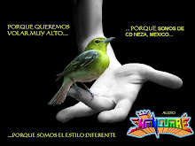 SIMPLEMENTE...