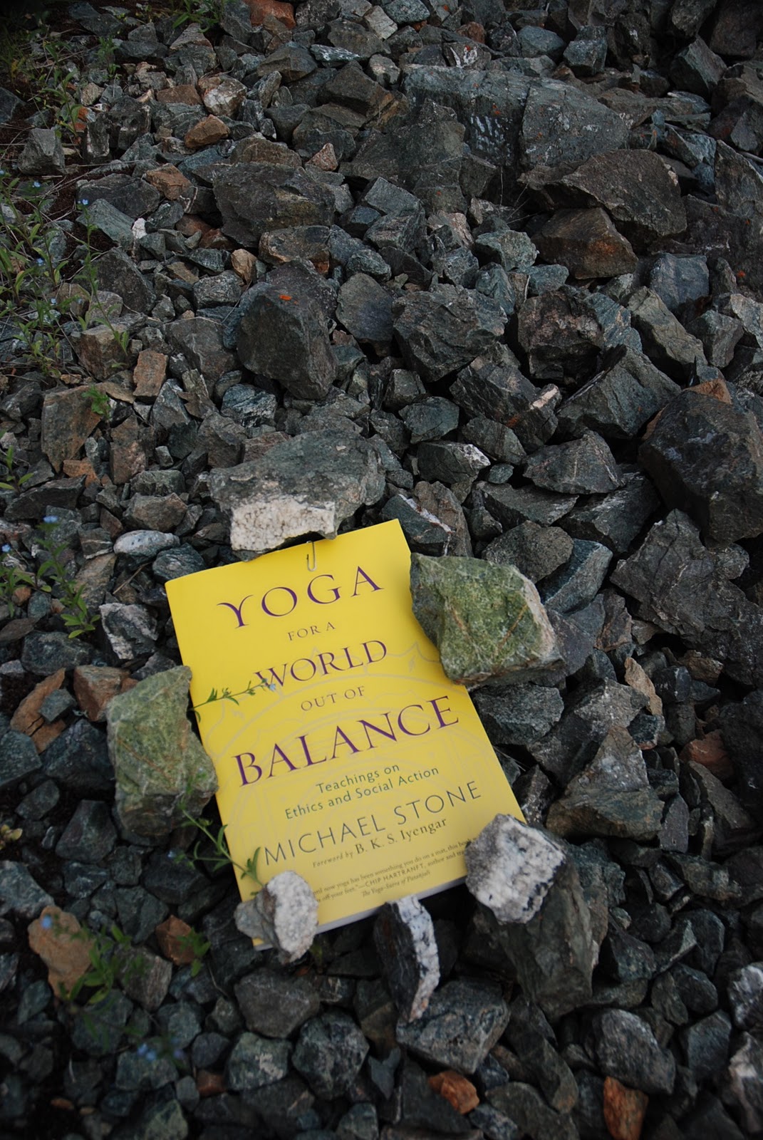 Notice Quiet Nature: Yoga For A World Out Of Balance