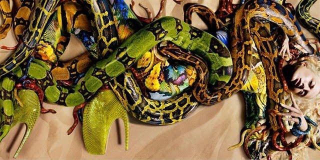 [alexander+mcQueen+camp.ss2010.jpg]